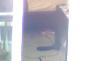 XXX క్రూరమైన రేప్ యువకులు వుడ్స్