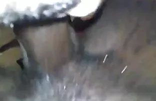 XXX స్వీట్ నల్లటి జుట్టు గల స్త్రీని bares భారీ ముడ్డి